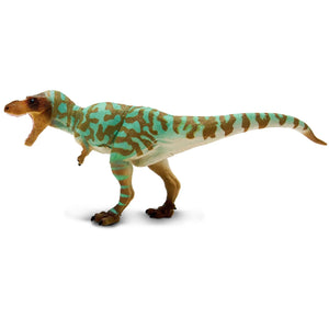Albertosaurus Model