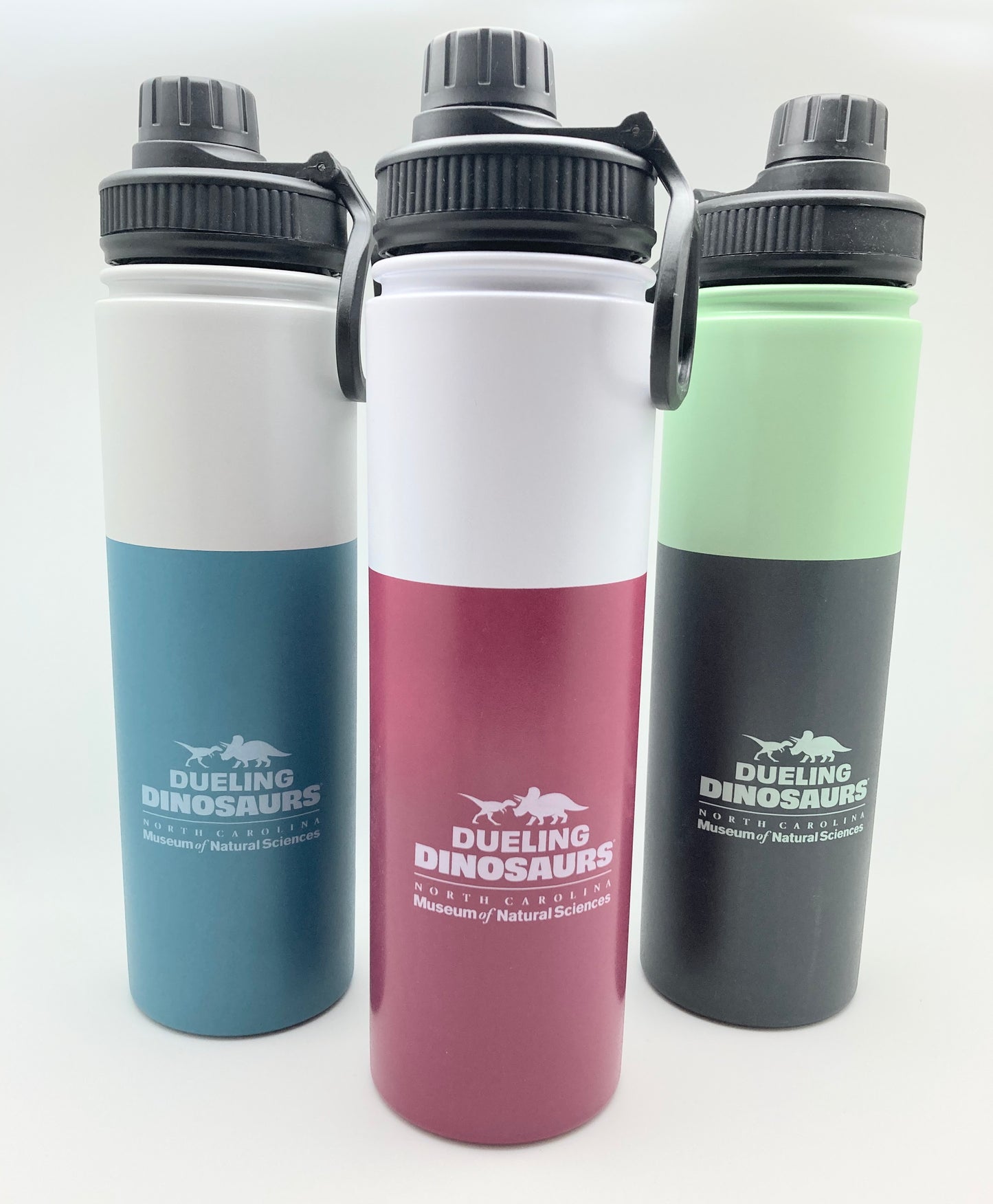 Dueling Dinosaurs Steel Water Bottle