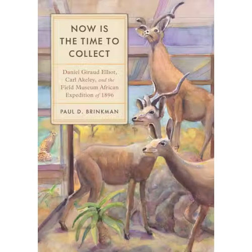 Now is the Time to Collect (Museum Author!)