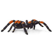 Load image into Gallery viewer, Orange-Kneed Tarantula Model
