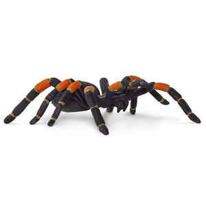 Orange-Kneed Tarantula Model