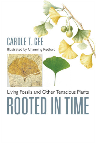 Rooted in Time - Limited Time Offer!