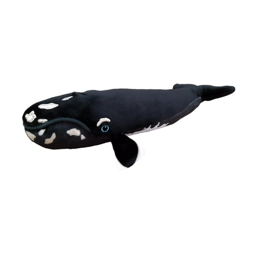 Plush Right Whale