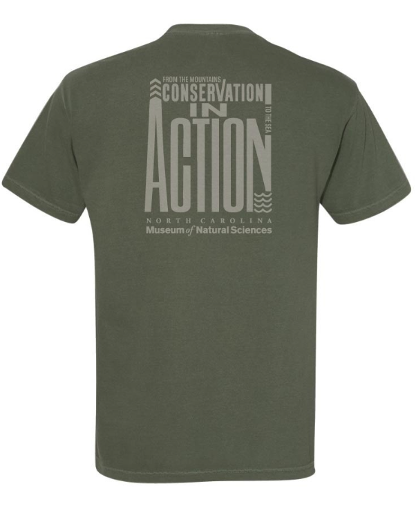 Endangered Bog Turtle Tee