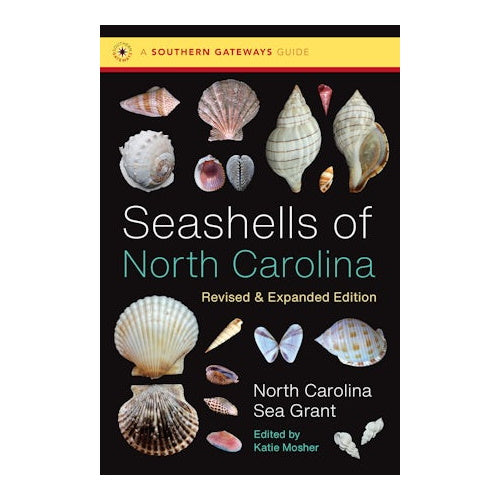 Seashells of North Carolina (Newly Revised!)