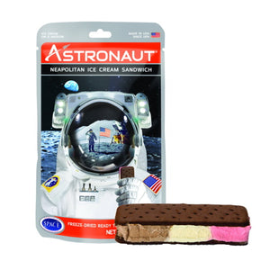 Astronaut Ice Cream - Neapolitan