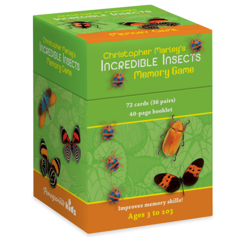 Incredible Insects Memory Game