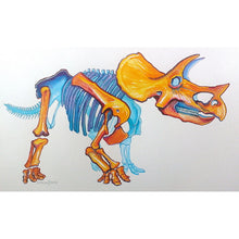 Load image into Gallery viewer, Triceratops Print - Stacy Lewis
