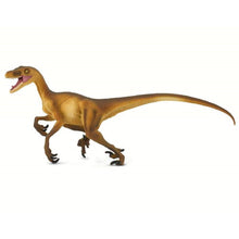 Load image into Gallery viewer, Velociraptor model

