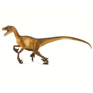 Velociraptor model