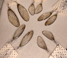 Load image into Gallery viewer, Cicada WIng Earrings #6 - Local Artist
