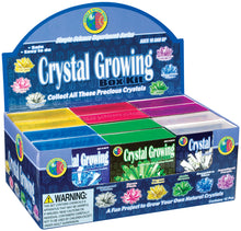 Load image into Gallery viewer, Crystal Growing Kit (assorted colors)
