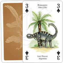 Load image into Gallery viewer, Dinosaurs Playing Cards

