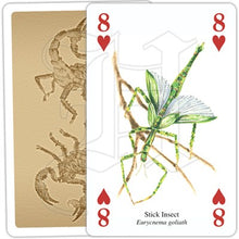 Load image into Gallery viewer, Insects and Spiders Playing Cards

